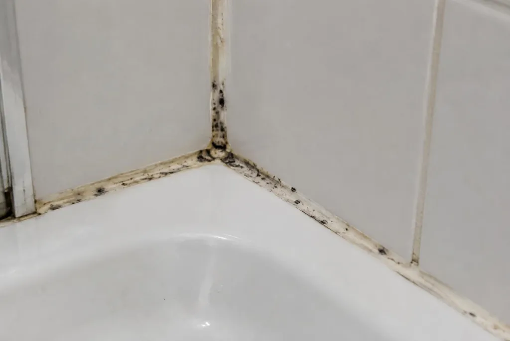 Kitbedrijf Meppel – beschimmelde kitranden